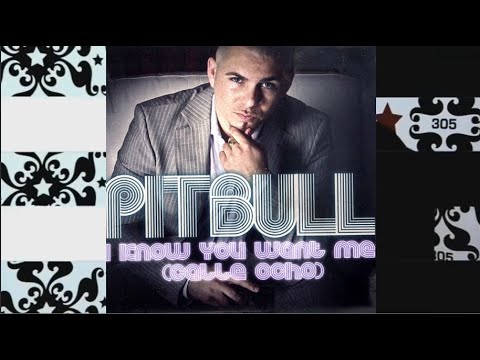 Tout Samplement: Pitbull "I Know You Want Me (Calle Ocho)