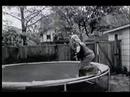 Lady and Her Tramp film