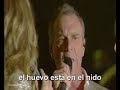 Celine & Zachary Richard - l´arbre dans ses feuilles (traducida)