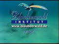 dolfinim   heilsame delphinreisen