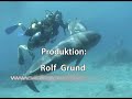 dolfinim   heilsame delphinreisen