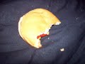 FRY EATING BURGER! (animation test)
