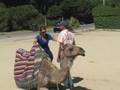 Study Abroad Highlights