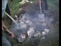 Alpenhof/Azpaa - Great Vacancy The Grill Master Flash Gang