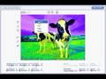 How To Animate A Photo