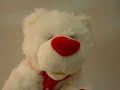 Singing Valentine Bear