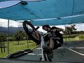 mossman bmx