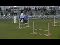 Cay-Cay AKC-Eukanuba Agility Invitational 2009 Round 3