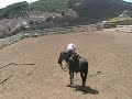 just pieces of me riding sunka wa kan