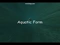 W.O.W Druid Introduction W.O.W Druid Introduction