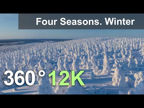 Four Seasons. Winter Forest. Relax Flight. 360 video in 12K - YouTube