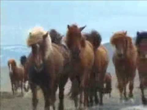 Islandia "Al Filo del Ártico"