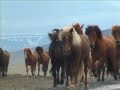 Islandia 