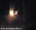 Anxiogen Part 4