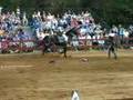 retransmision del torneo medieval en renaissance festival