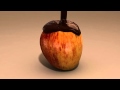 Realflow chocolate test