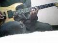 S.D.I.(LOUDNESS cover)