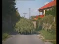 mozgo-bokor.avi