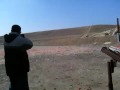 5 dogs shooting range California