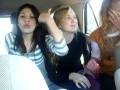 videos de cool cats