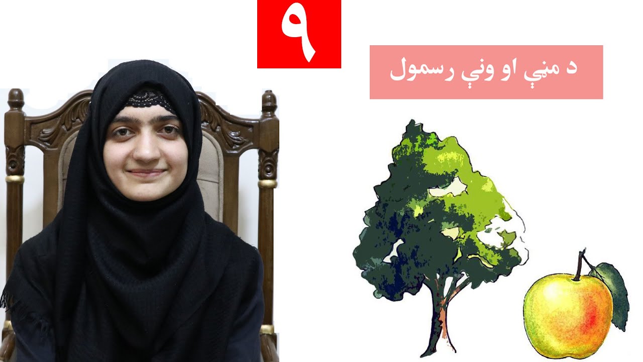 Class 4 - Art | Drawing an apple and a tree - Lesson 9