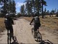 idyllwild - Idyllwild adventure ride. One of the best trails. Visit us at: www.unitedadobo.com for more.