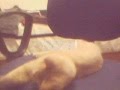 Crazy Cat (��lg�n Kedi) NOTE: Video language is turkish. Sorry. But, this video is funny... :D