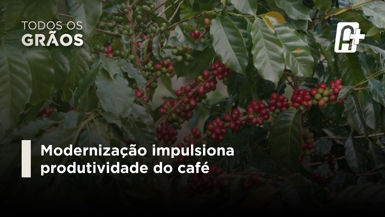 Tecnologias são Aplicadas na Produção e Colheita dos Grãos.