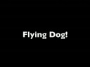 Flying Dog Flying Dog