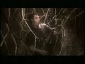 The End - Throwing Stones