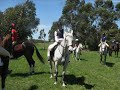 Pony Club Cross Country