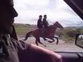 GO60 One Horse Vs 200