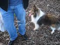Milo & Dexter - Part 1