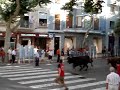 Man hit by bull, Running of the Bulls Denia
