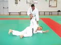 bunkai  heian shodan