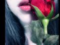 اهداء الى من نحب