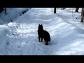 Test Canon Powershot SX 210 IS HD movie