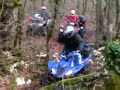 Rando Quadimania