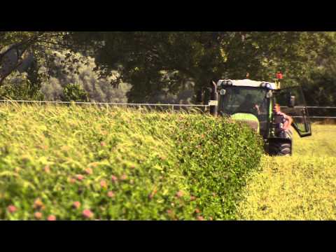 Öko-Landwirtschaft - Gut Brook im Klüzer Winkel bei ...