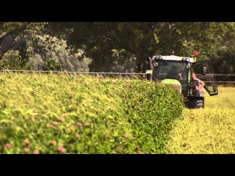 ko-Landwirtschaft - Gut Brook im Klzer Winkel bei Wis ...