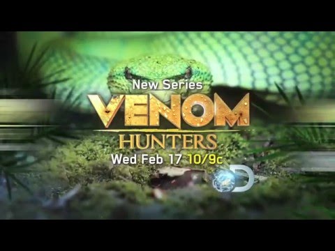 YouTube reptile video