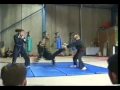 Hapkido Demo