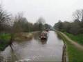 Shroppie Fly 