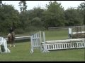 '09 Crystalbrooke Horse Show: Low Hunters: Renaissance