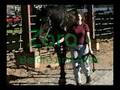 Norcal Equine Rescue Saves Horses