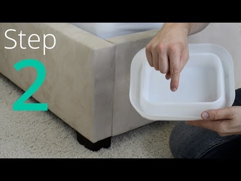 how to isolate bed bugs