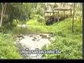 Thai Song-SUNAREE RACHASIMA- Ta Wan Lap Thee Chiang Rai