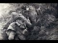 The Dead