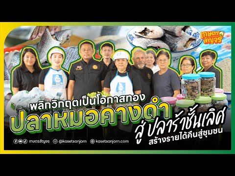 พลิกวิกฤตเป็นโอกาสทอง! เปลี่ยนปลาหมอคางดำทำ 