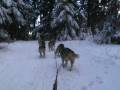 videos de 1ere neiges